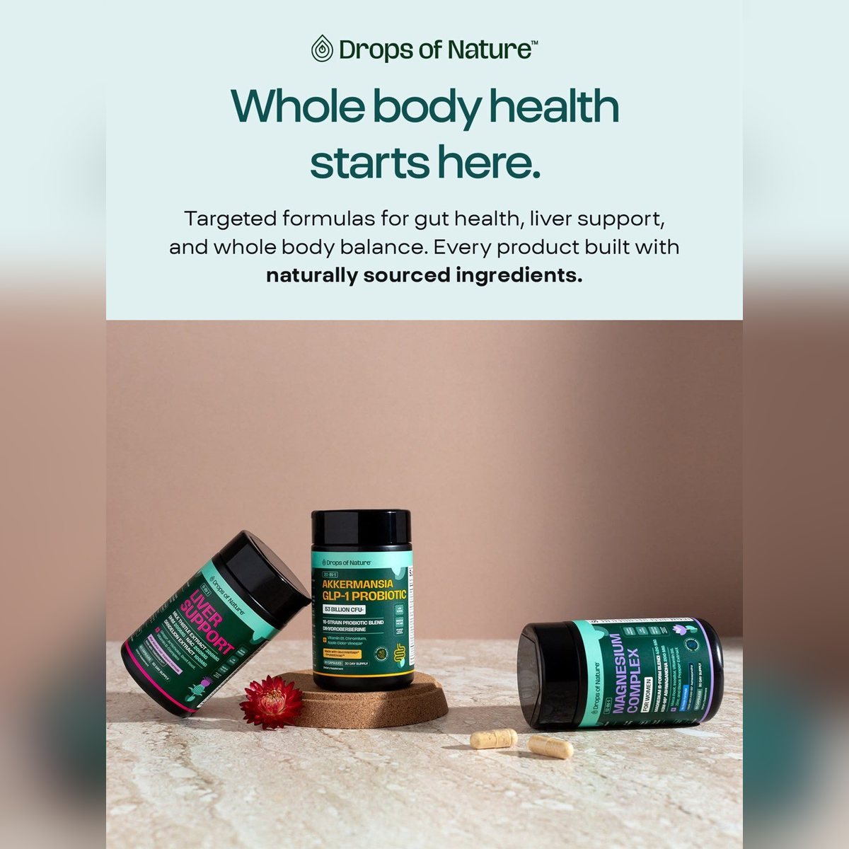 Liver Support, Akkermansia GLP-1 Probiotic and Magnesium Complex bottles: Whole body health starts here.