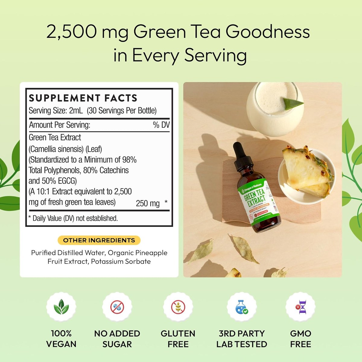 Green Tea Extract supplement facts: 2,500 mg green tea leaf equivalent per serving.