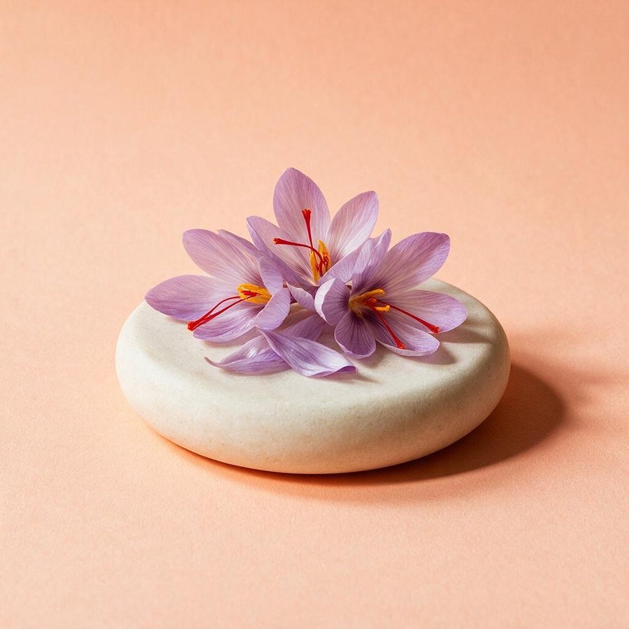 Saffron Crocus