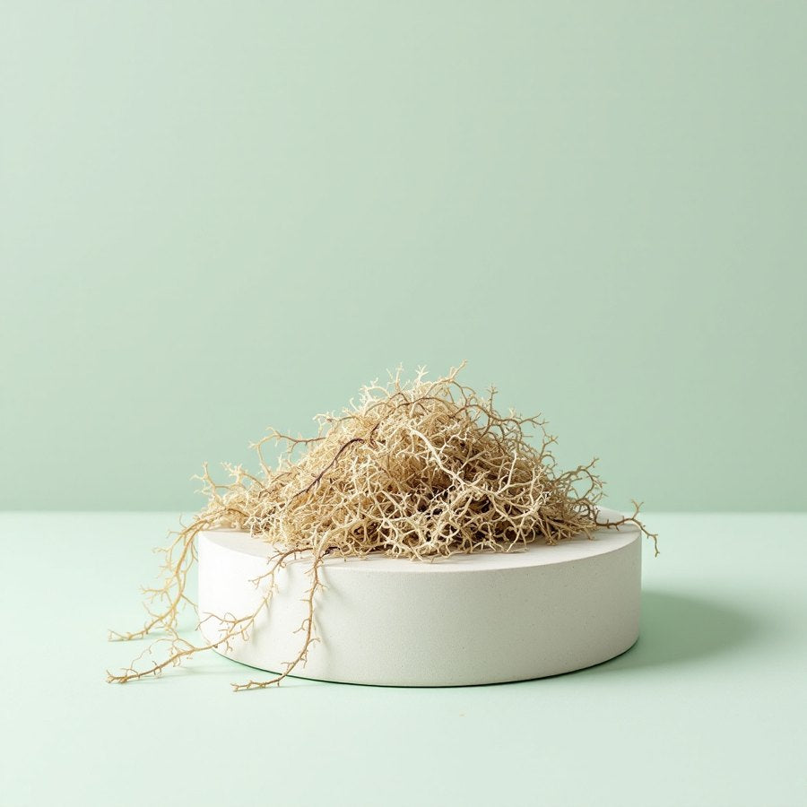 Irish Sea Moss